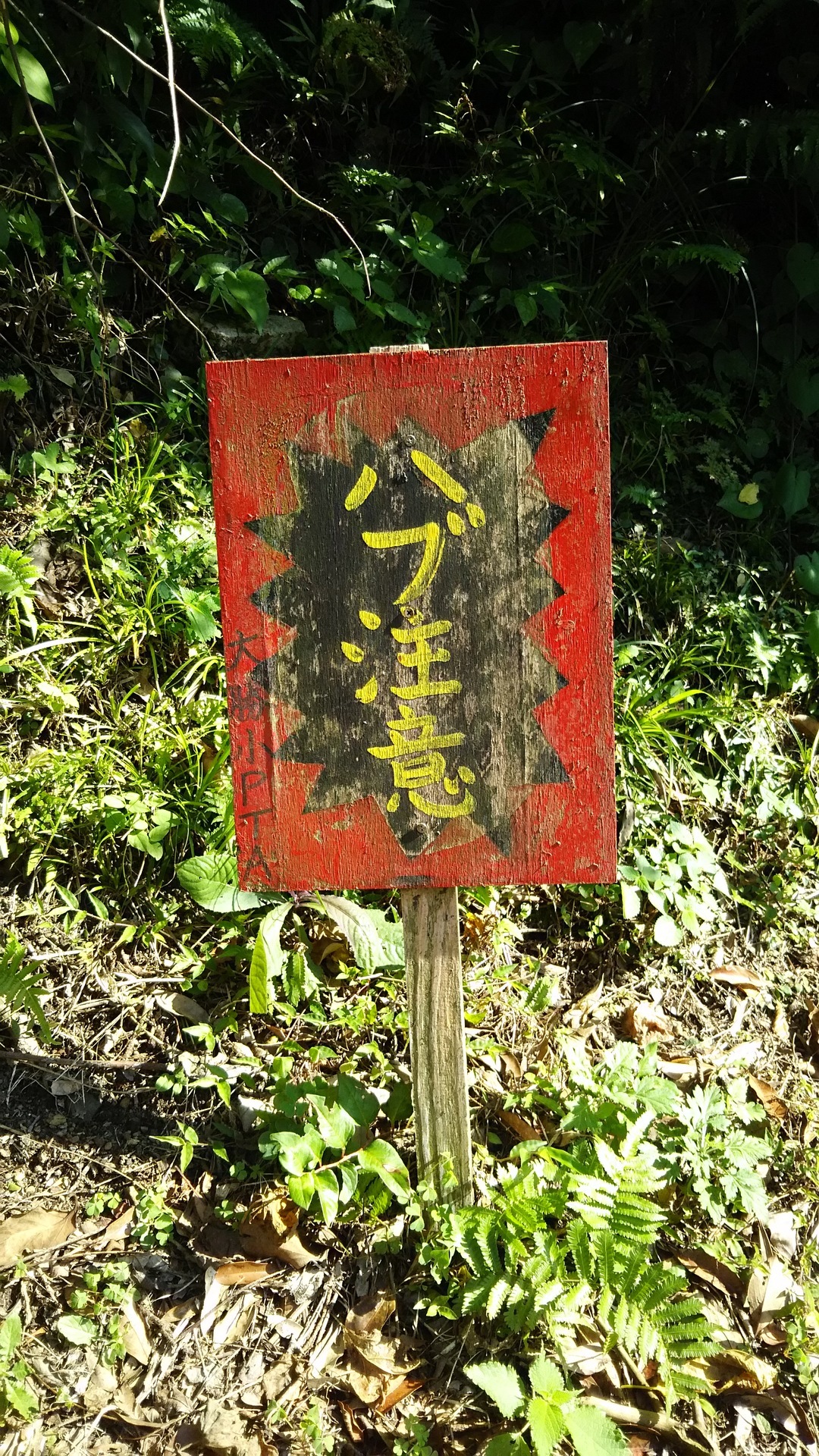 2015-10-12 09.38.33.jpg