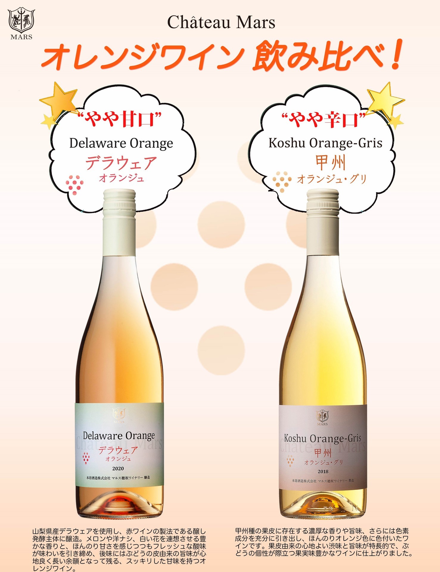 r3.11.8 A4甲州＆デラウェア オランジワインPOP 2 (002).jpg