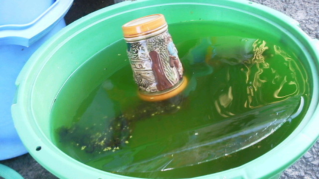 画像を等倍で表示します 画像