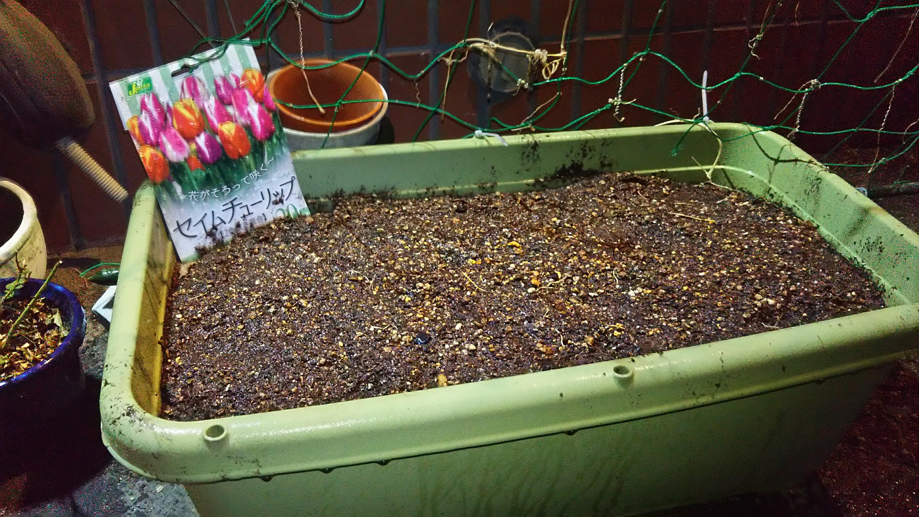 画像を等倍で表示します 画像