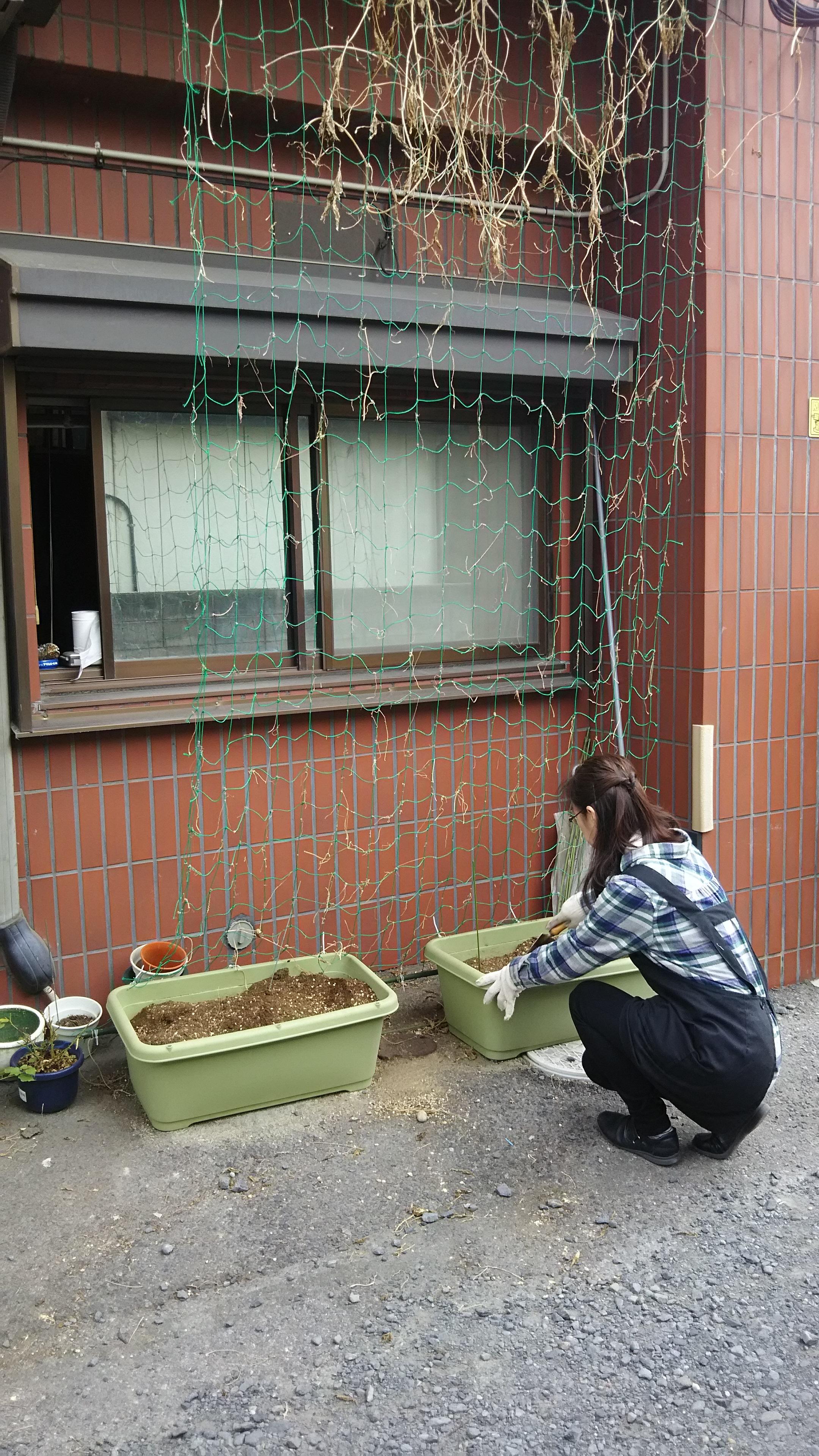 画像を等倍で表示します 画像