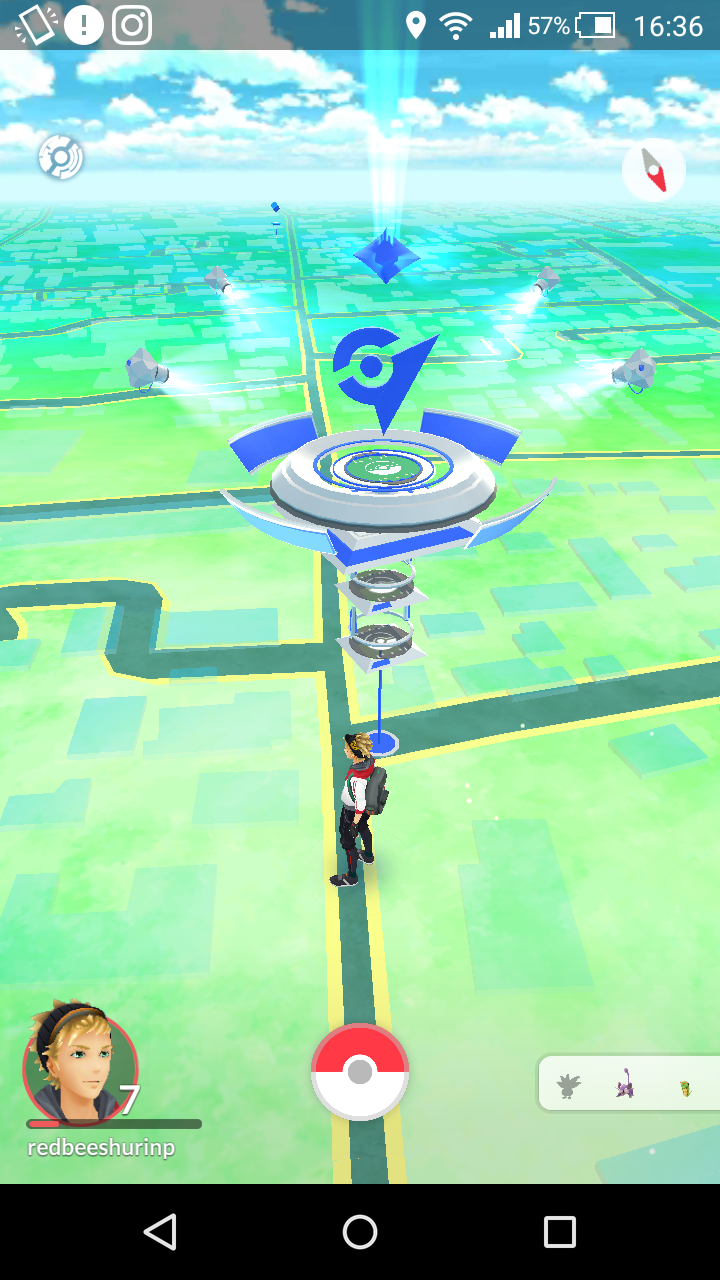 画像を等倍で表示します 画像