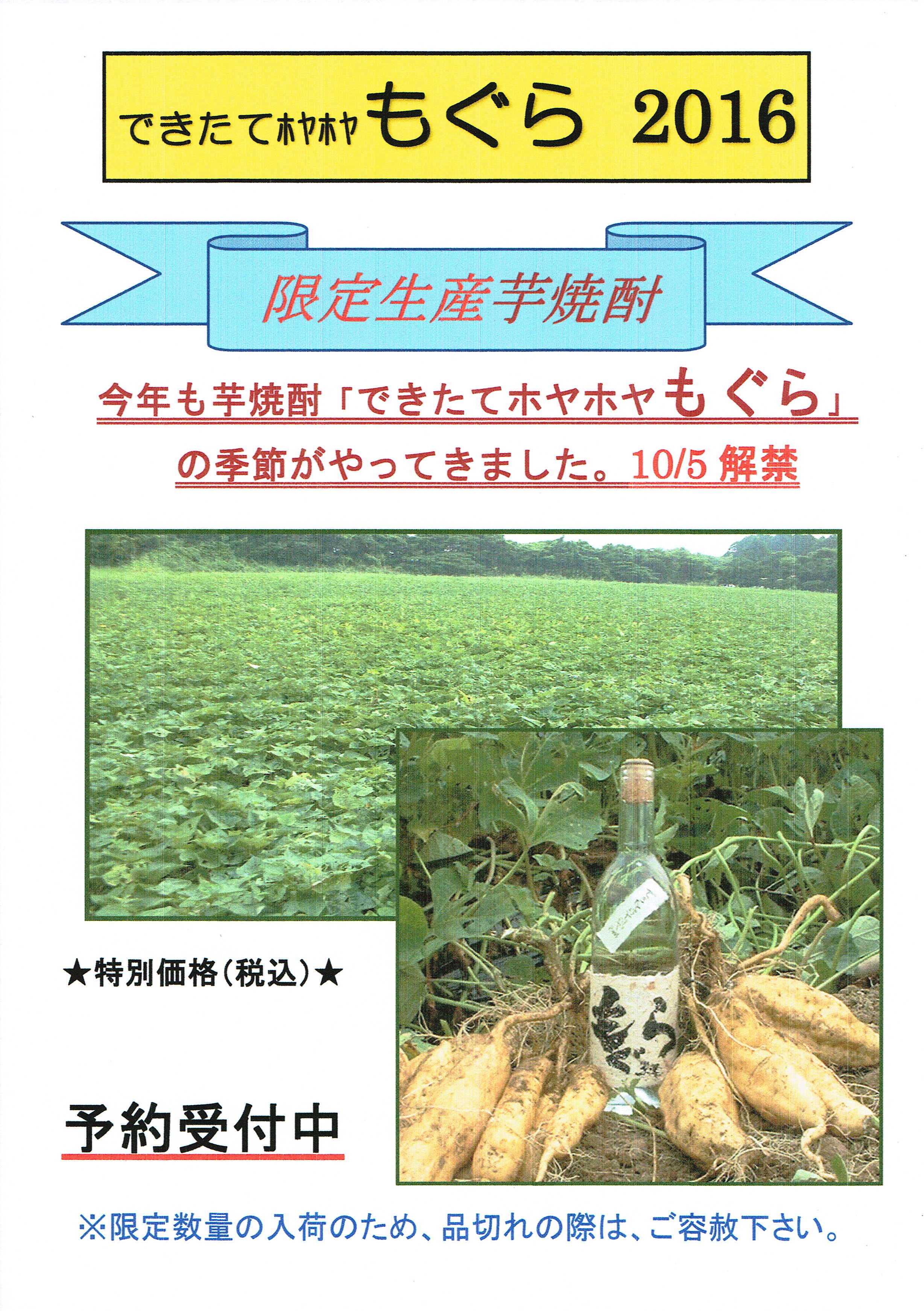 画像を等倍で表示します 画像