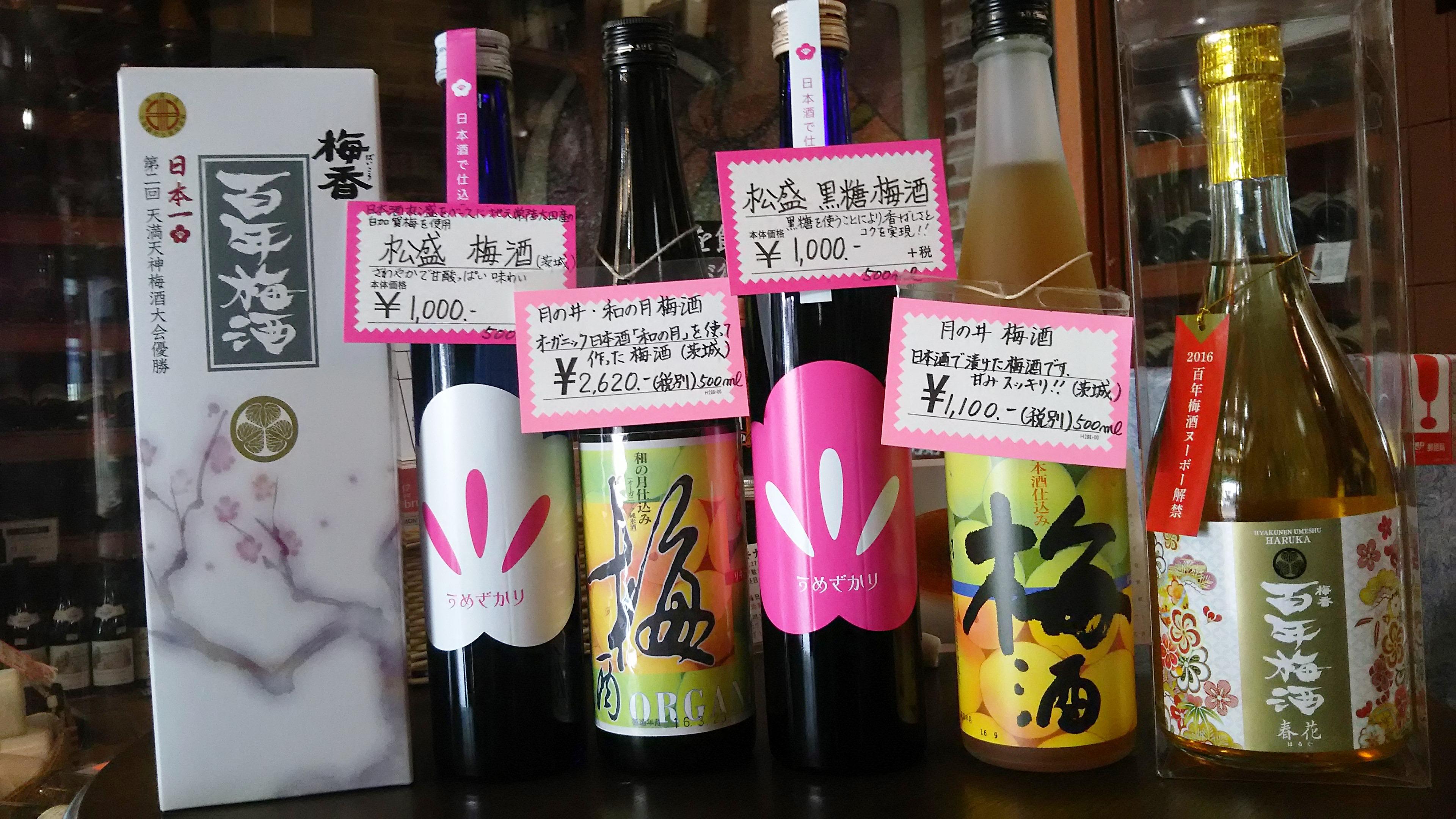 画像を等倍で表示します 画像