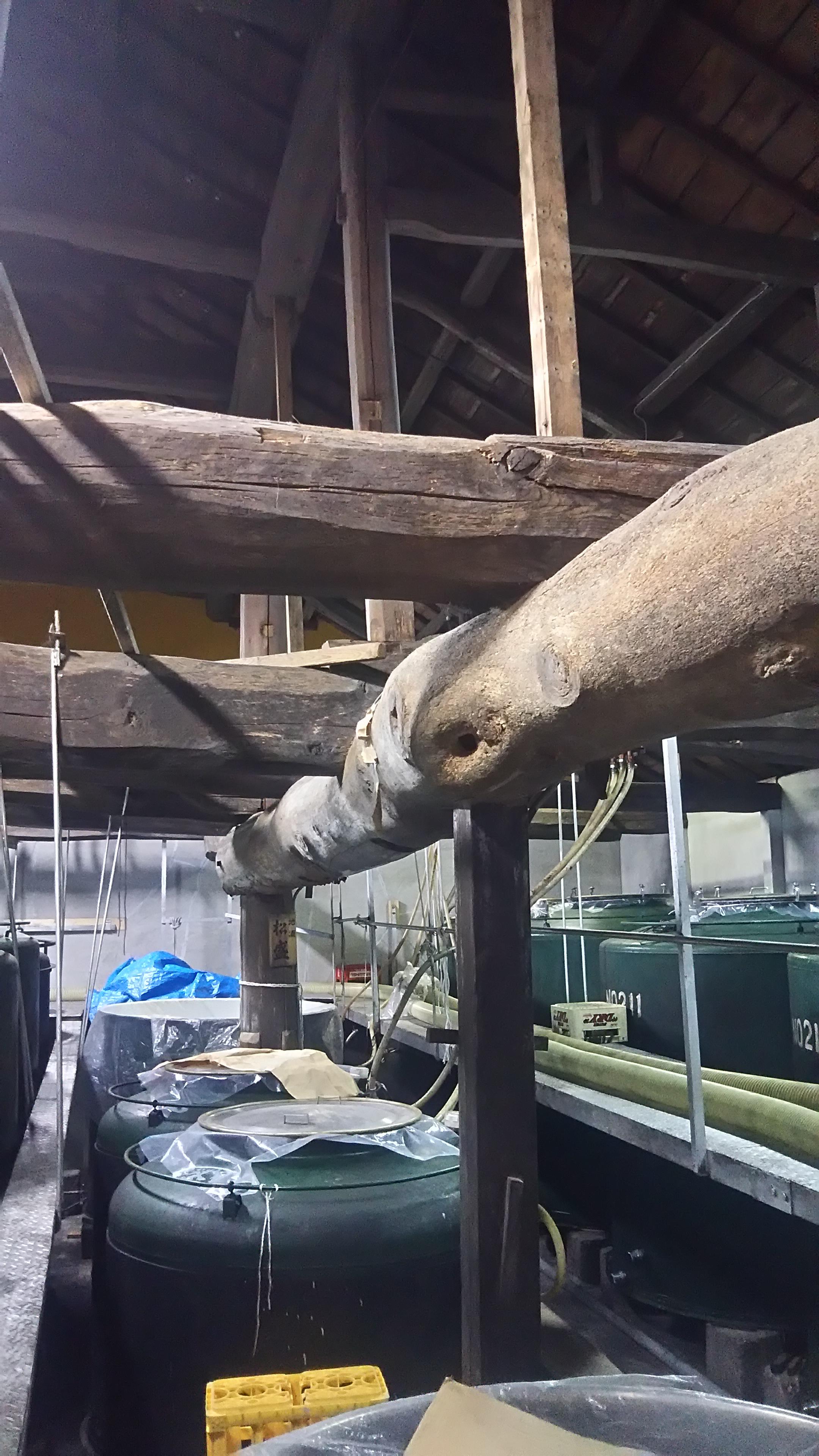 画像を等倍で表示します 画像